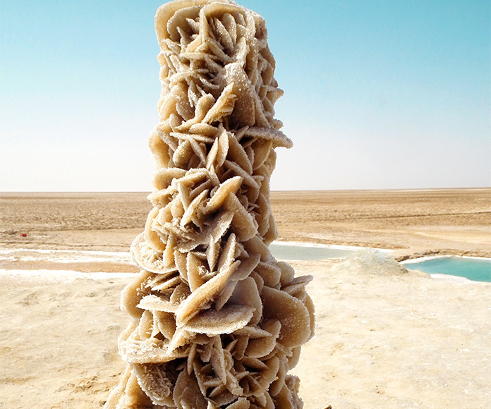 Rosa del desierto, piedra misteriosa con características, propiedades y usos misteriosos