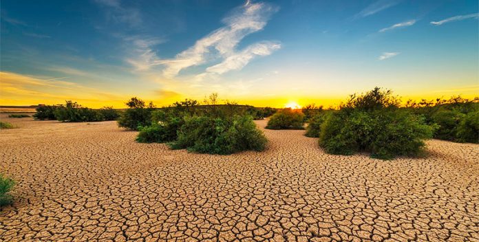 Se esperan fuertes sequías en España a partir del año 2050.