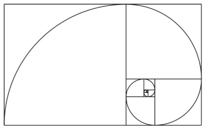 Sucesión de Fibonacci. Espiral de Fibonacci.