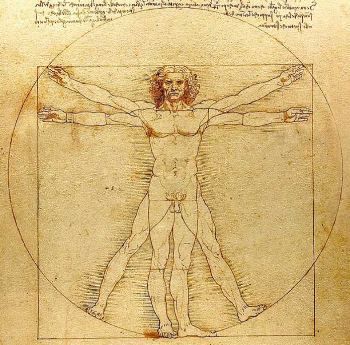 Sucesión de Fibonacci. Hombre de Vitruvio de Leonardo da Vinci. Circa 1492.