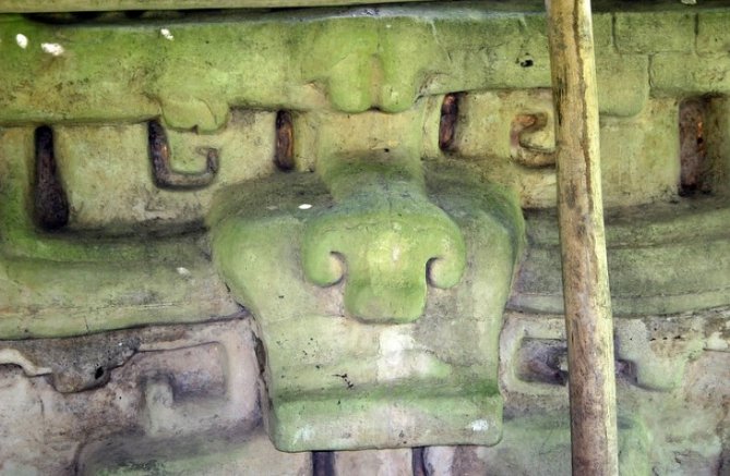 Templos mayas. Caracol. Sitio arqueológico Caracol en Belice.