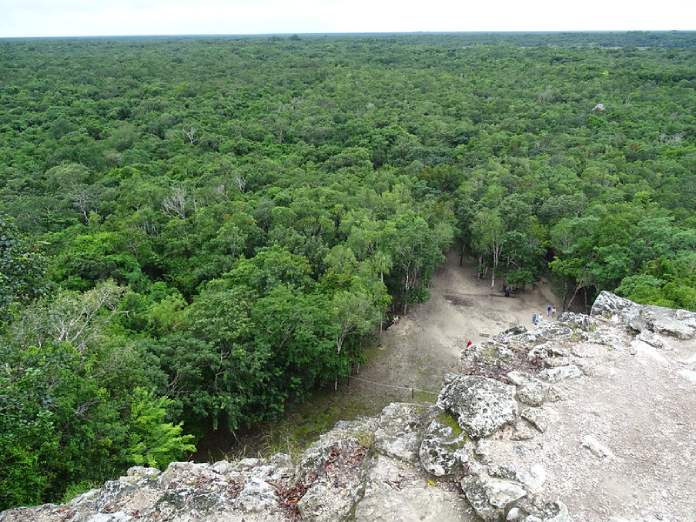 Templos mayas. Cobá. Entorno selvático de Cobá. 