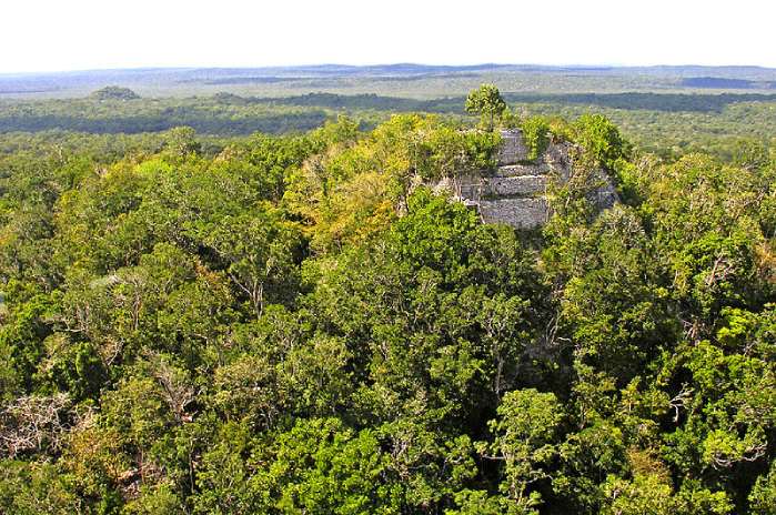 Templos Mayas. El Mirador. Vista aérea de la pirámide La Danta. 