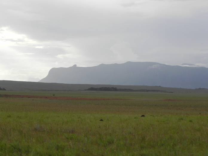 Tipos de biomas: La Gran Sabana de Venezuela