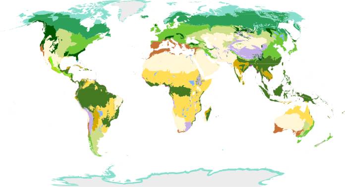 Tipos de biomas: Clasificación WWF 