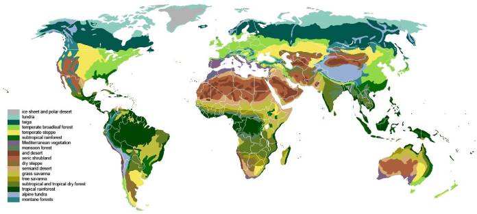 Tipos-de-biomas-principales-biomas-del-mundo