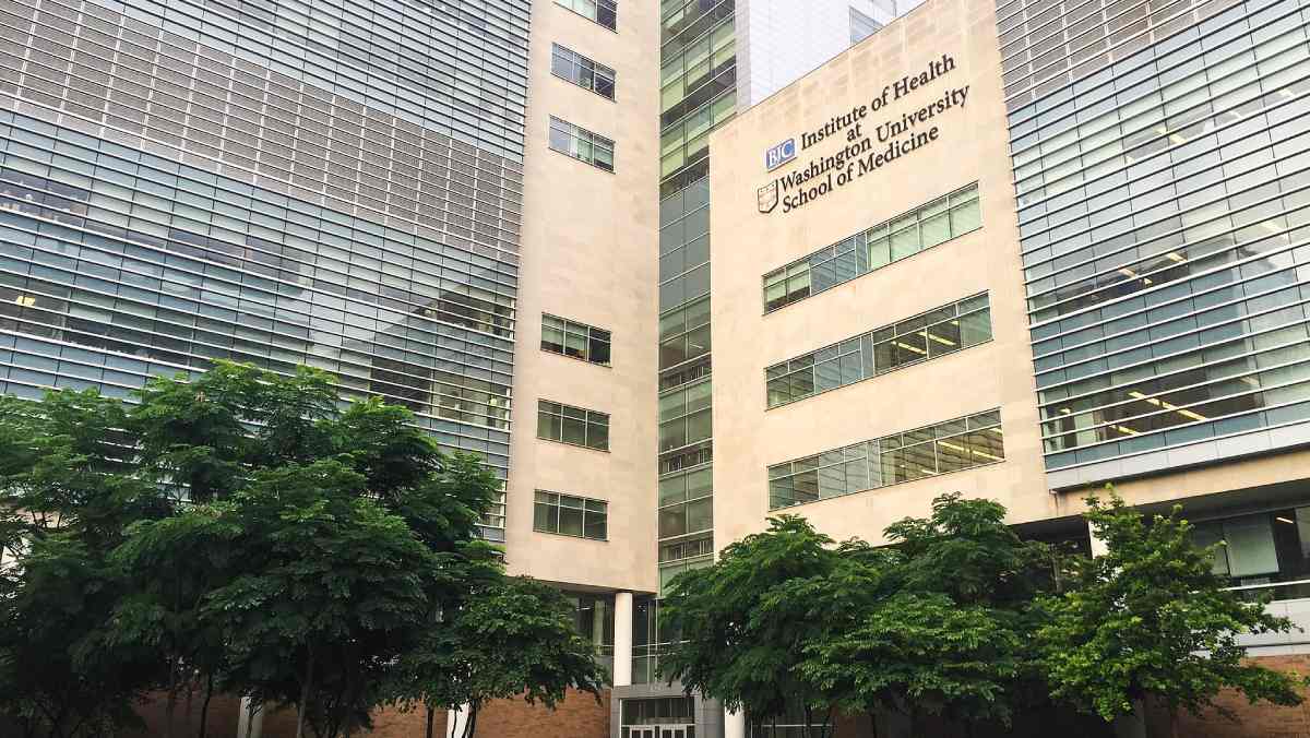 La Universidad de Washington revela que el Alzheimer avanza más rápido en personas con síndrome de Down