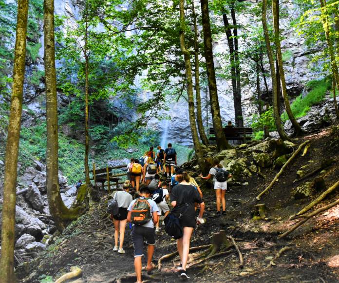 Grupo haciendo trekking.