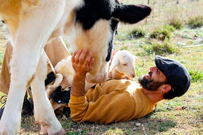 Alberto Terrer, fundador del Santuario Compasión Animal, fotografiado con una vaca y una oveja