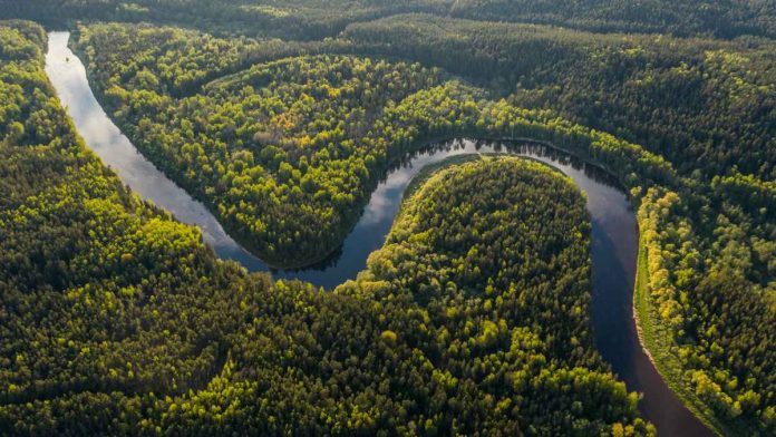 Amazonas