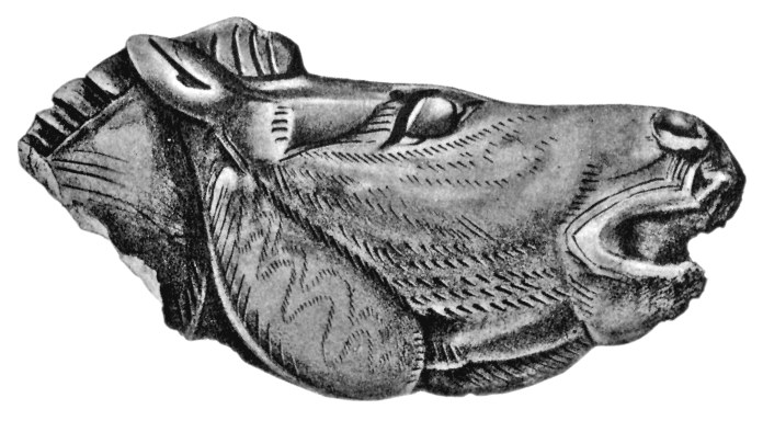 Arte paleolítico - Cabeza de caballo de Mas d'Azil