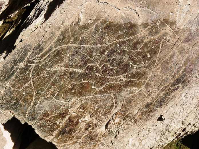 Arte paleolítico - Grabados en el valle del Côa