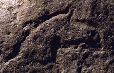 Arte paleolítico - Prótomo de caballo en la Cueva del Moro