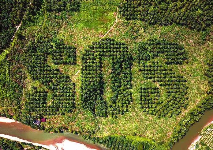 Noruega prohíbe la compra de biocombustibles ligados a la deforestación