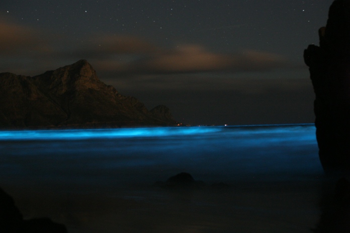 Bioluminiscencia: Mar Azul.