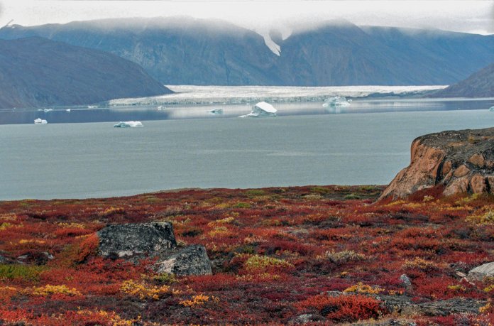 Biomas acuáticos: Tundras de Groenlandia