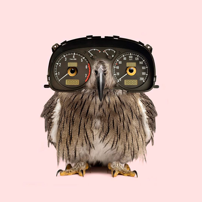 Dashboard owl (Les Creatonautes)