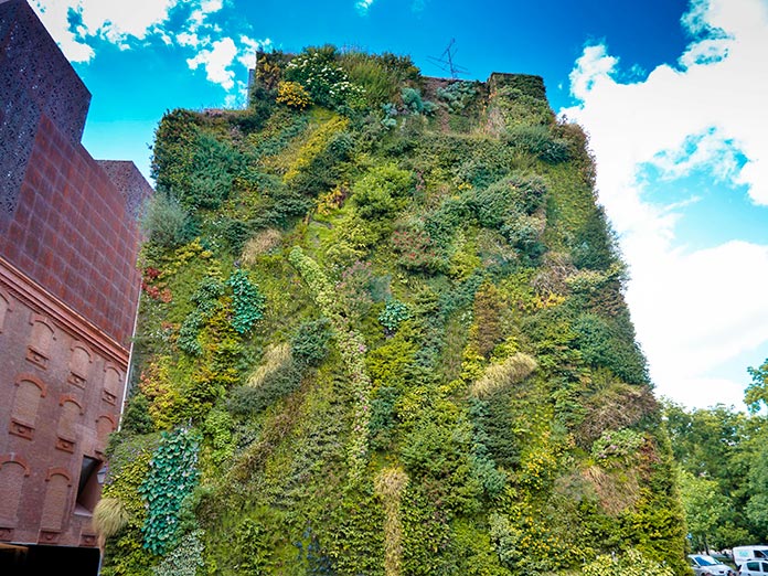 Jardín vertical Caixa Forum