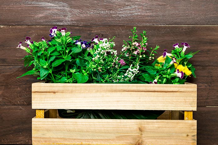 caja de madera jardinera