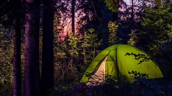 caseta de campaña en el bosque de noche