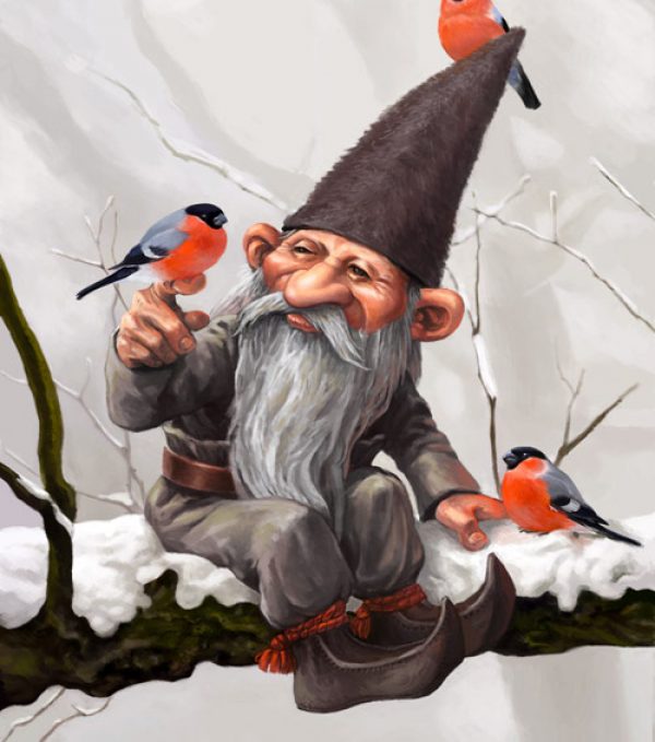 Duendes y gnomos diferencias, tipos, cualidades...