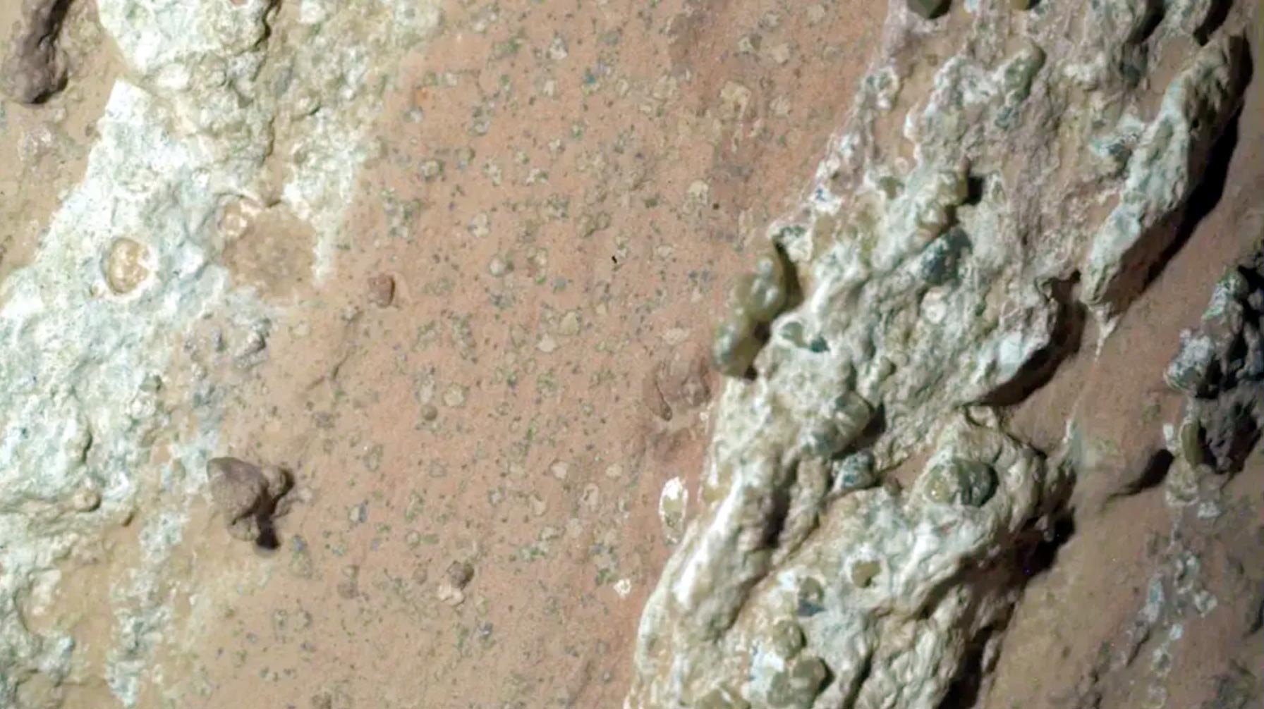 Primer plano de las llamadas “manchas de leopardo” de Cheyava Falls