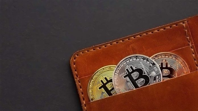 cartera llena de bitcoins