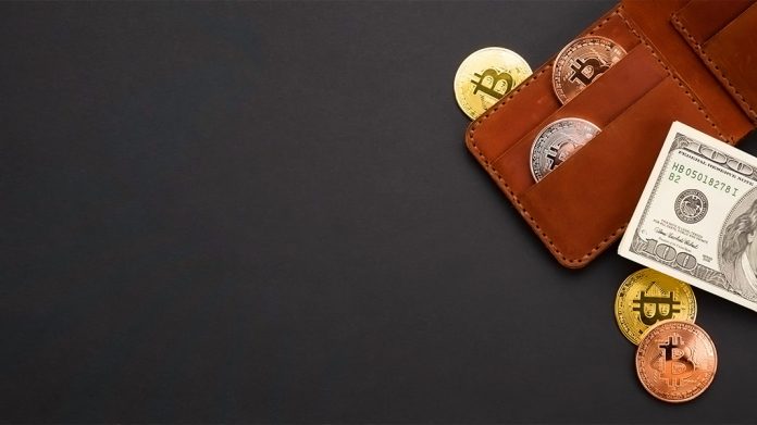 cartera de bitcoins