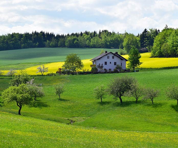 Casa rural en mitad de un campo verde con árboles