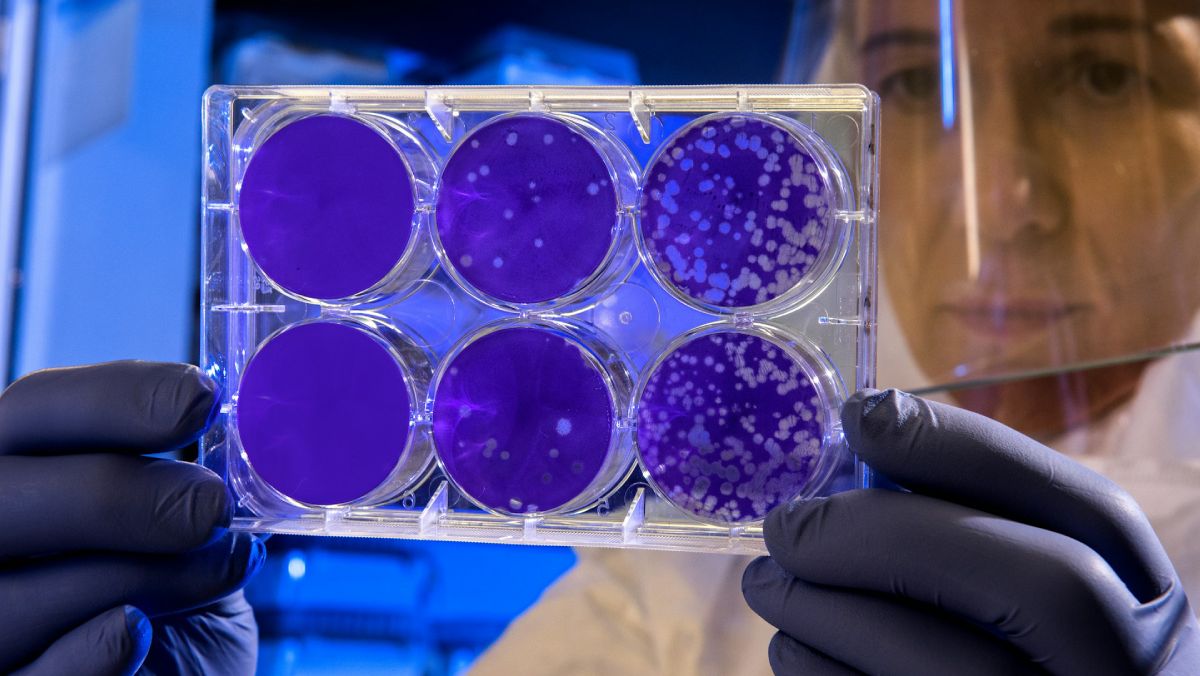 El Instituto de Biología Funcional y Genómica descubre paralelismos entre la genética y la ecología