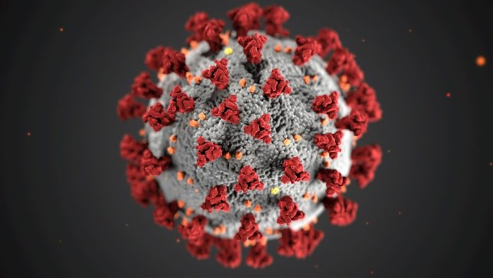 Virus COVID-19