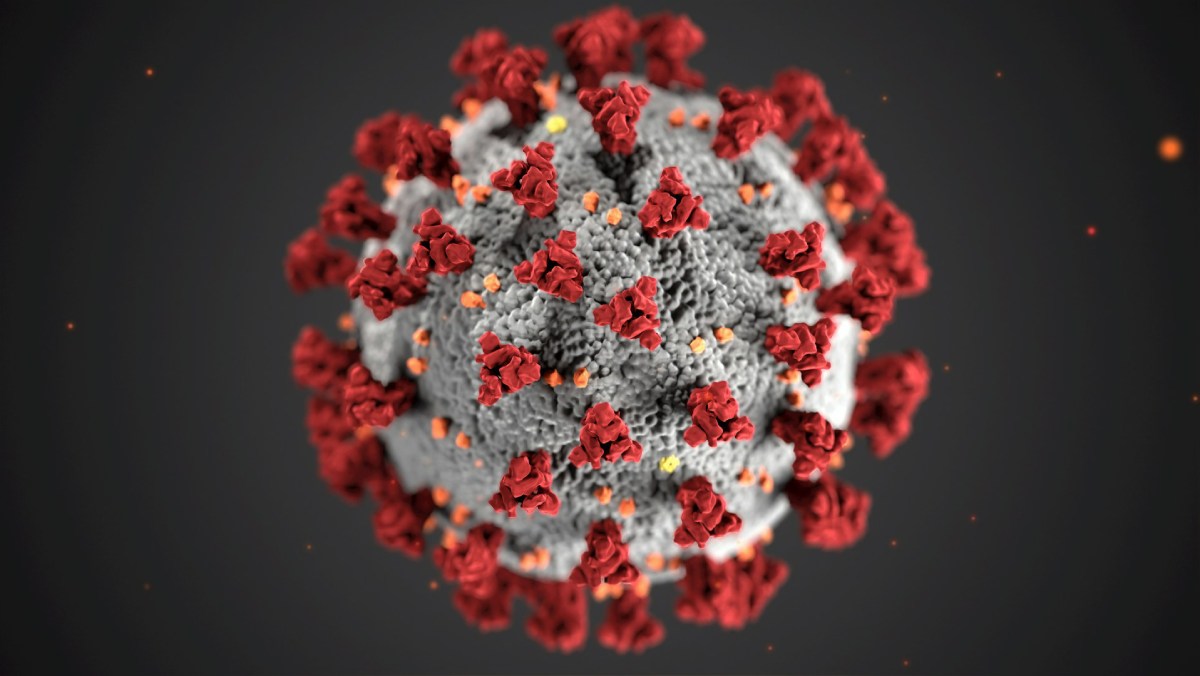 El Consejo Superior de Investigaciones halla una combinación de fármacos efectiva contra el SARS-CoV-2