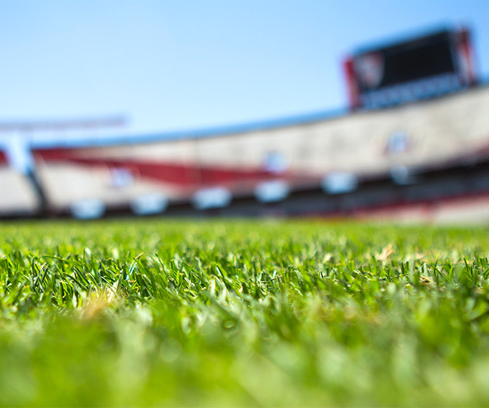 Detalle del césped de un estadio de fútbol.