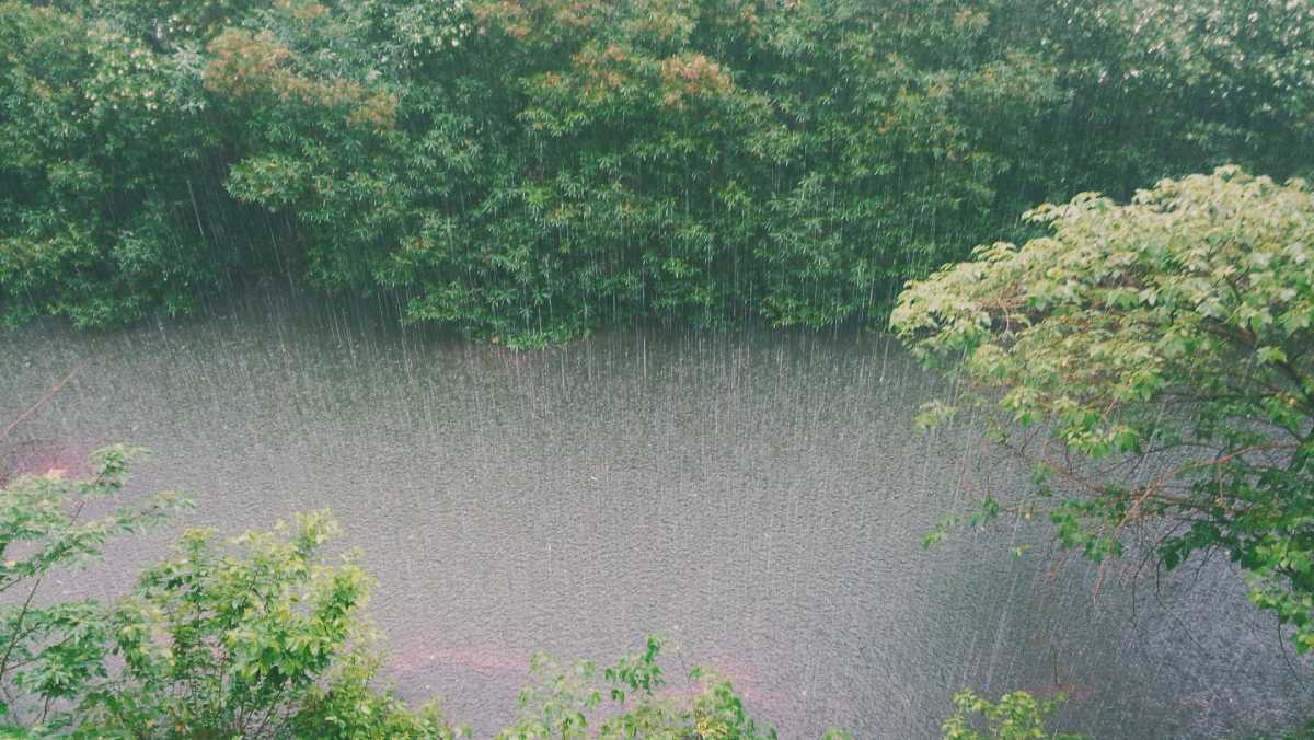 Un nuevo estudio atribuye el aumento de lluvias torrenciales en el este de África al cambio climático