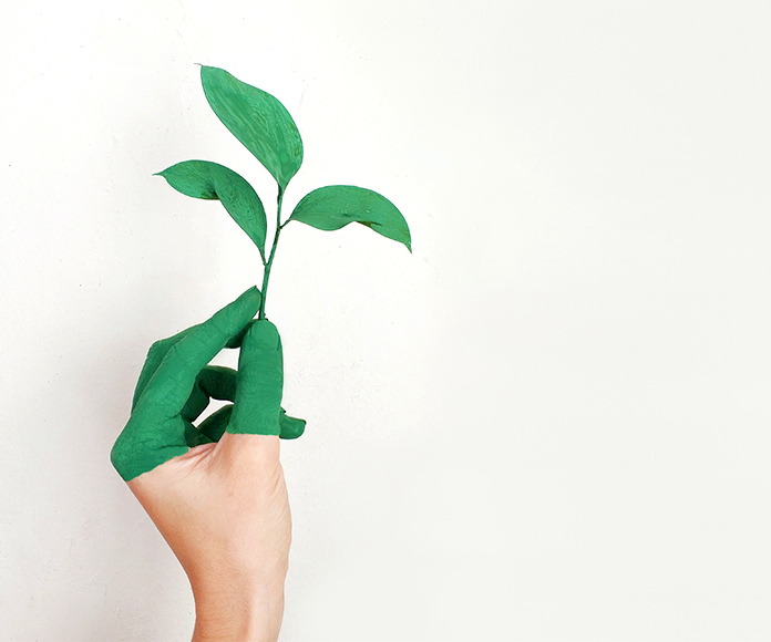 Mano sosteniendo una pequeña planta que tiñe la mano de verde