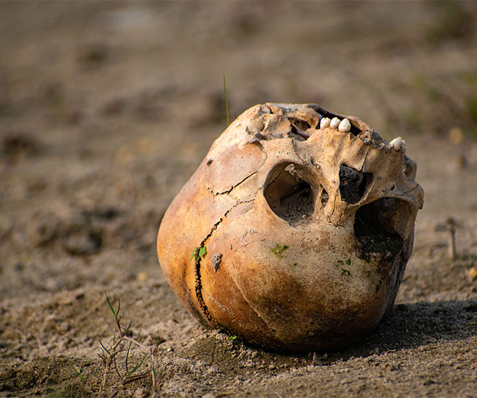 Calavera boca arriba en el suelo