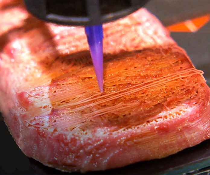 Filete comestible impreso en 3D.