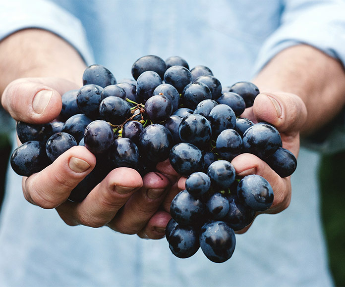 Hombre sosteniendo un racimo de uvas