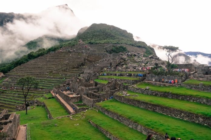 Civilizaciones de América - Los incas - Terrazas agrícolas