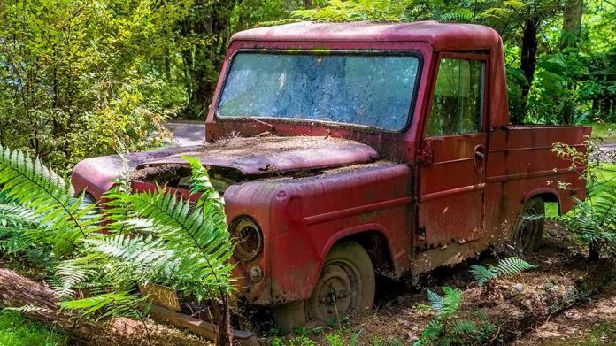 coche abandonado en el bosque