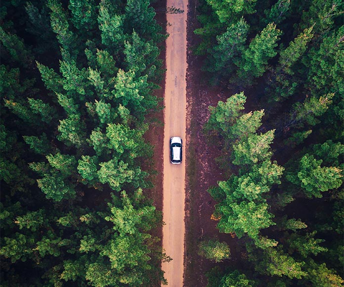 Plano cenital de coche por una carretera que atravieda un bosque