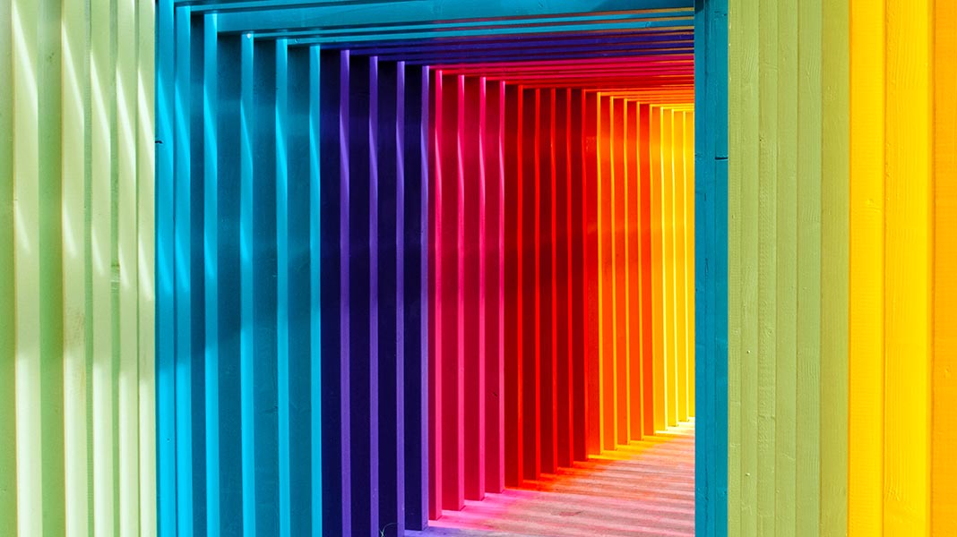 El Color Favorito del Mundo: ¿Por qué asociamos ciertos colores a ciertas emociones?