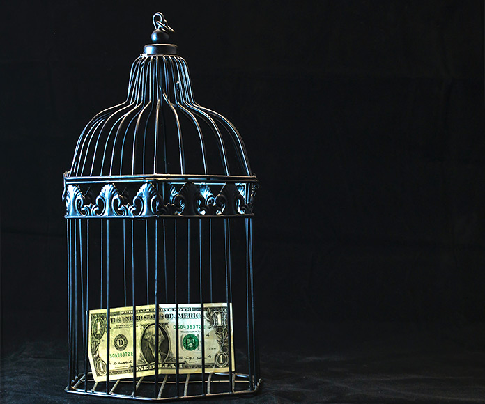 Billete de dólar dentro de una jaula