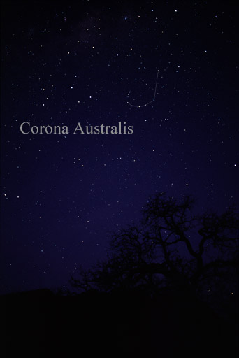 Constelación de Escorpio - Constelación Corona Austrina