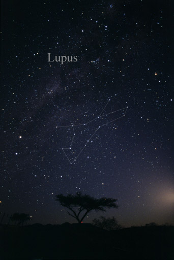 Constelación de Lupus.