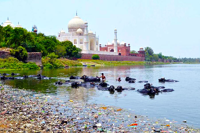 ContaminacÃ­on en cercanÃ­as del Taj Mahal