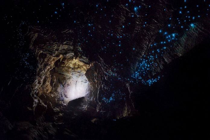 Cuevas subterráneas - Cueva de Waitomo, Nueva Zelanda 