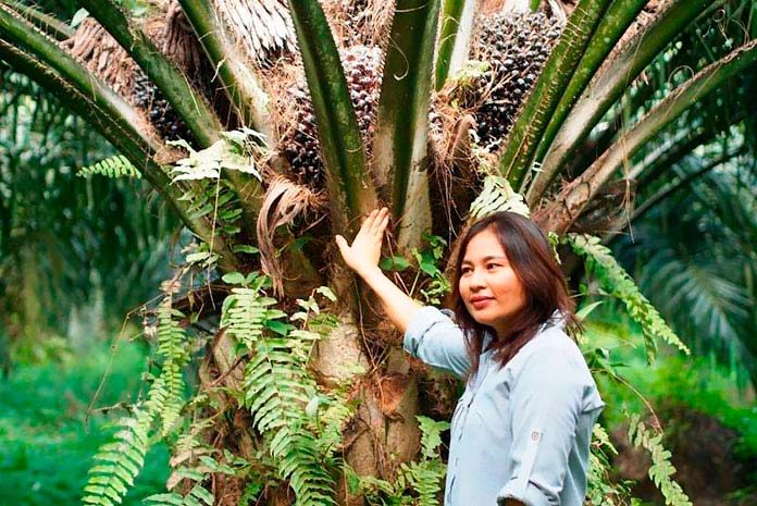 Los pequeños agricultores se unen para el cultivo ecológico de la palma.