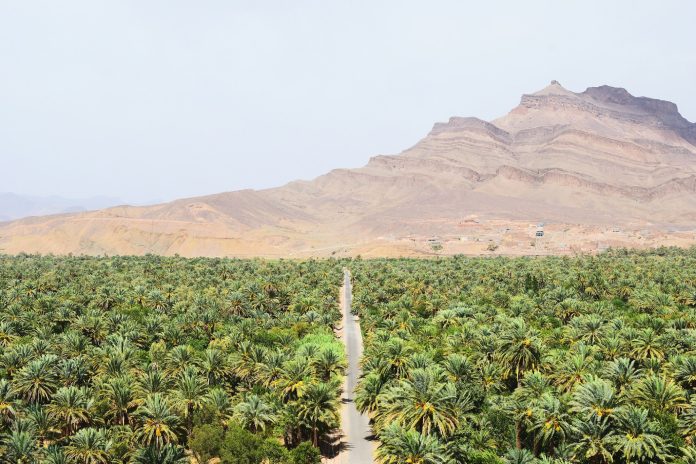 Valle del Draa en Marruecos