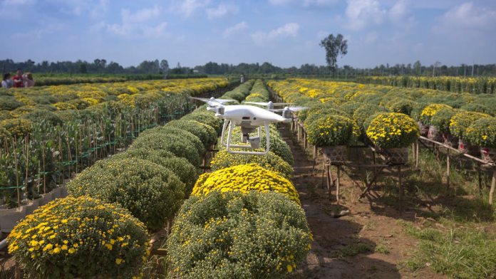 Millonaria inyección para digitalizar el sector agroalimentario español